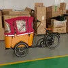Stylish Electric Cargobike Bakfiet with Attractive Design and Spacious Cargo Box Family C