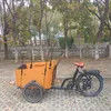 Stylish Electric Cargobike Bakfiet with Attractive Design and Spacious Cargo Box Family C