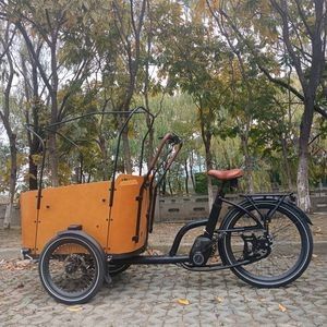 Ergonomic Family Cargo Bike with Comfortable Child Seating