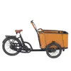 Versatile Electric Cargobike Bakfiet with Flexible Gear System for Varied Landscapes Family C