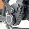 Versatile Electric Cargobike Bakfiet with Flexible Gear System for Varied Landscapes Family C