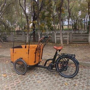 High-Performance Electric Cargobike Bakfiet with Flexible Gear System for Diverse Roads Family C