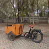 High-Performance Electric Cargobike Bakfiet with Flexible Gear System for Diverse Roads Family C