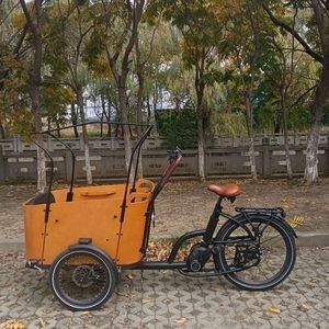 Powerful Electric Cargobike Bakfiet with Long-Range Battery for Family Adventures Family C