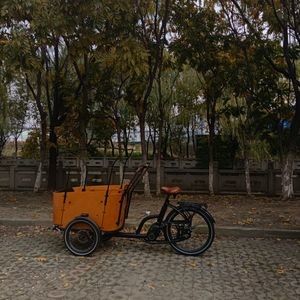 Premium Electric Bakfiets Cargo Bike with Strong Uphill Motor