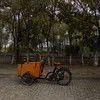 Premium Electric Bakfiets Cargo Bike with Strong Uphill Motor