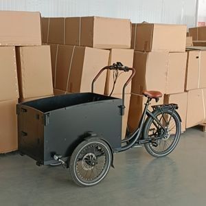 Versatile Electric Bakfiets with Safe Hydraulic Disc Braking