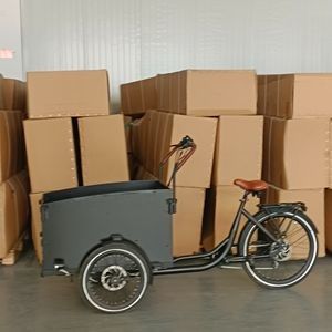 Versatile Electric Cargo Bike with Spacious Transport Box
