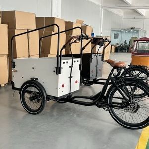 Reliable Electric Cargobike Bakfiet with Long-Range Battery for Family Adventures