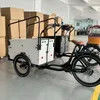 Reliable Electric Cargobike Bakfiet with Long-Range Battery for Family Adventures