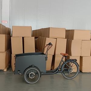 Ultimate Electric Bakfiets for Urban and Rural Exploration