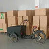 Reliable Electric Cargo Bike with Superior Load Capacity