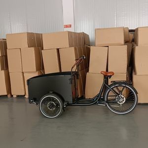 Low Carbon Footprint Bakfiets for Green Transportation Needs
