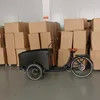 Low Carbon Footprint Bakfiets for Green Transportation Needs