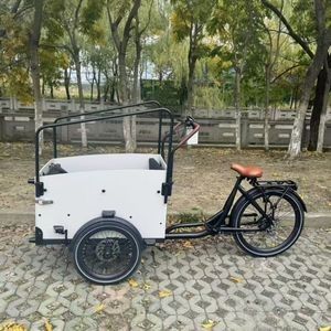 Electric Cargo Bike 20/26 Inch Three Wheel Cargo E Bicycle Large Capacity Delivery Bike