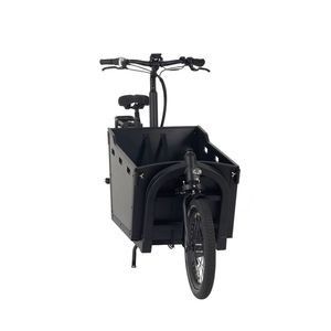 250W Pedal-Assist Family Bike OEM Cargo Bicycle 2 Wheel Ecargo Bike