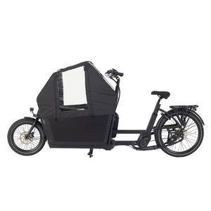 Cargo Bicycle for Carrying Groceries High-Capacity 2 Wheel E Bicycle Cargo E-Bike