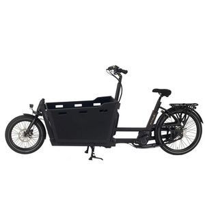 Pedal-Assist Family E Cargo Bike for Carrying Kids and Pets Ebike Electric Cargo Bicycle