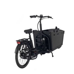 OEM Pedal-Assist 2 Wheel Cargo Bicycle Family Friendly Electric Assist ODM Cargo Bike