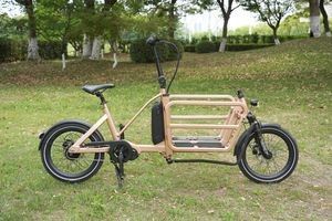 Sleek Cargo E Bike with Reflective Puncture Proof Kenda Tires