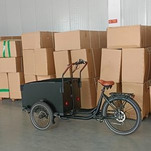 Reliable Electric Cargo Bike with Superior Load Capacity
