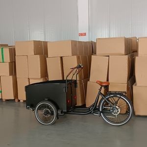 Family-Friendly Electric Cargobike Bakfiet with Room for Children and Groceries